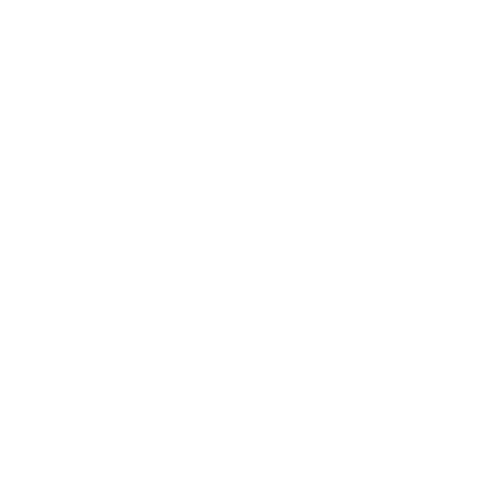 USA Sport Karate logo